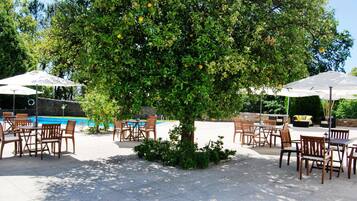 An outdoor seating area with tables and chairs, a pool, and a tree with fruit.