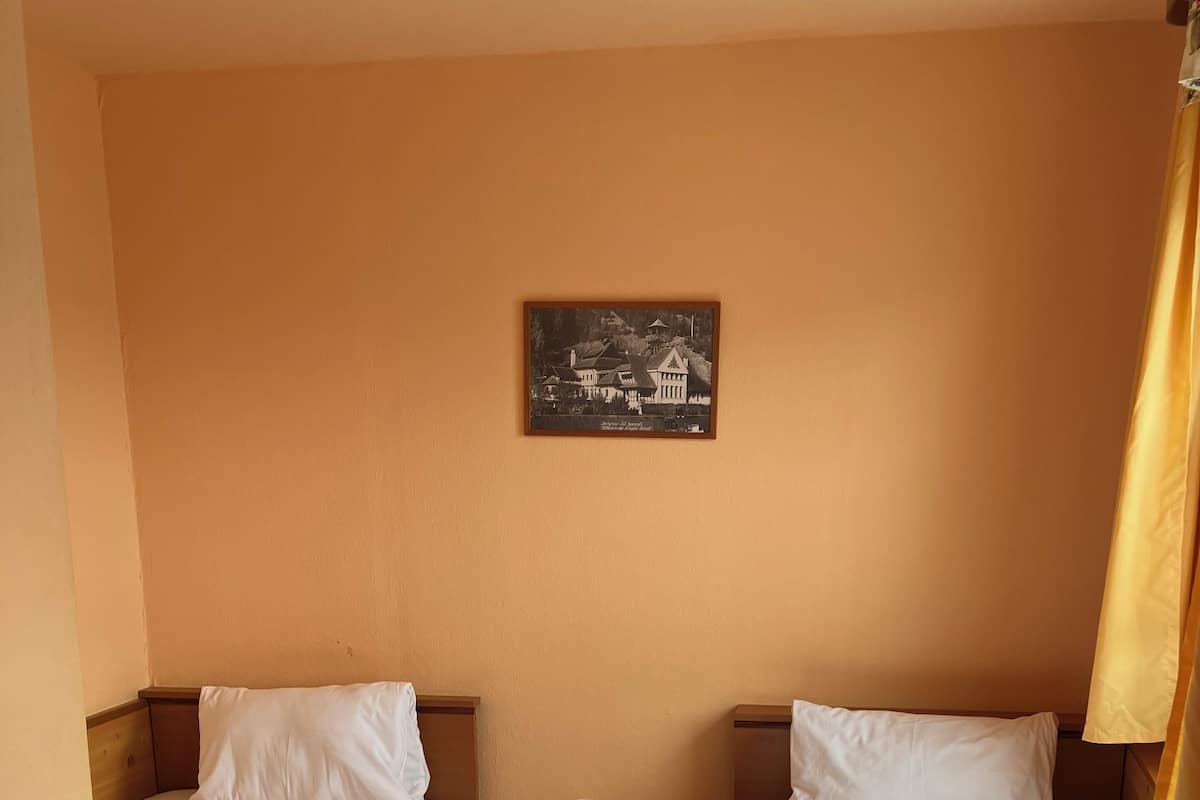 Een hotelkamer met twee enkele bedden, een nachtkastje met een lamp en een lijst aan de muur.