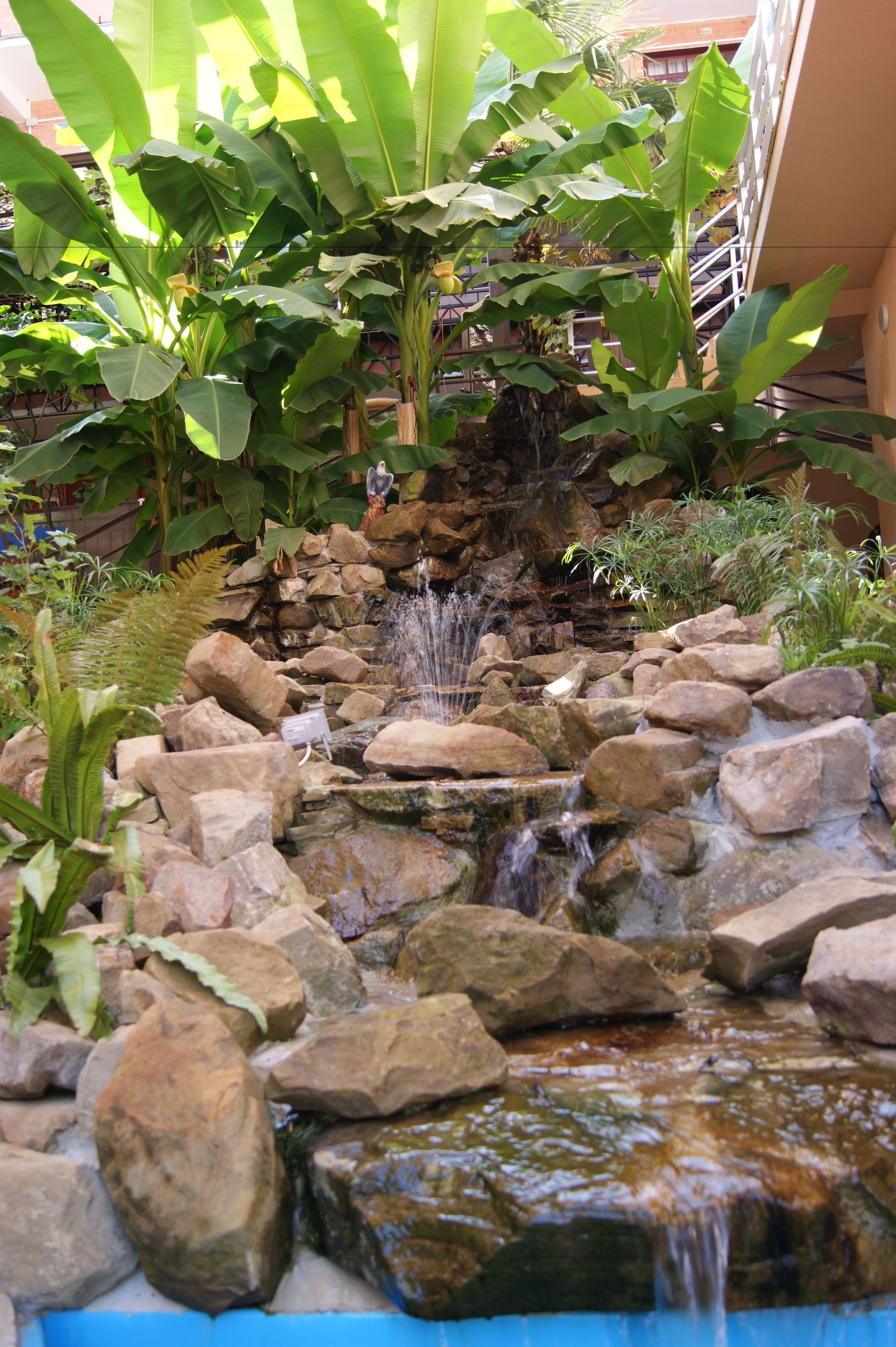 2 indoor pools, outdoor pool, free pool cabanas, pool umbrellas