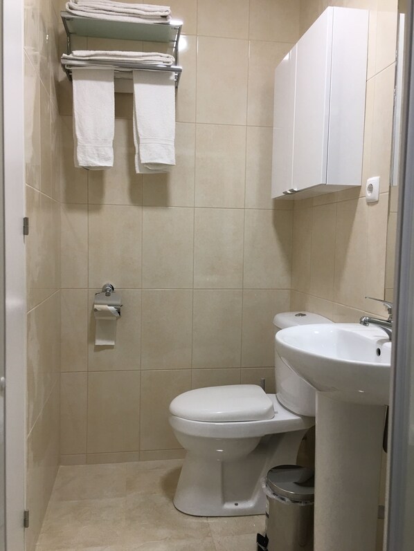 Un baño pequeño y limpio con inodoro, lavabo y toallero.