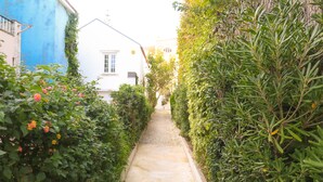 Un sendero estrecho bordeado por abundante vegetación y un edificio blanco con una pared azul.