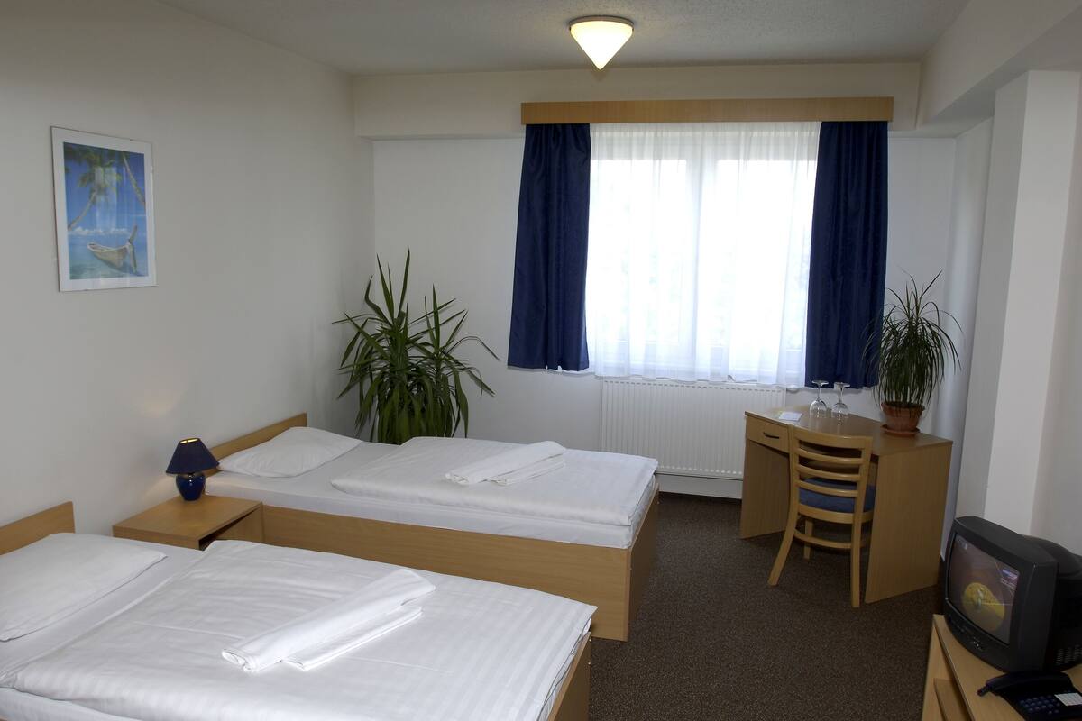 Quarto de hotel com duas camas, uma escrivaninha, uma cadeira, uma televisão e duas plantas em vasos.