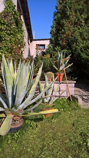 Garden - Privat Apartma Ulrych (Liberec)