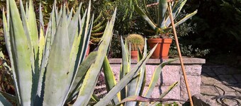 Privat Apartma Ulrych