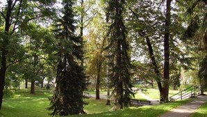 Un parque con árboles altos, un sendero pavimentado y bancos.