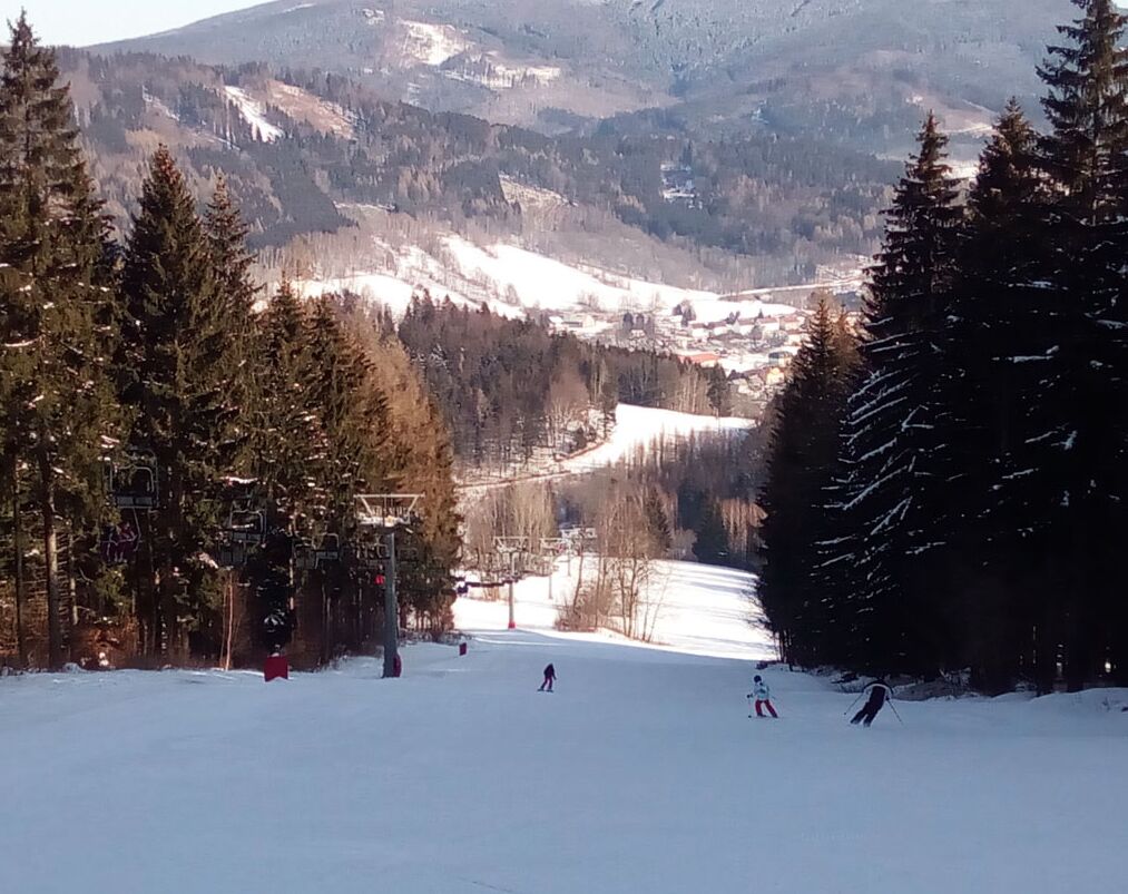 Une piste de ski bordée d’arbres, avec une montagne en arrière-plan.