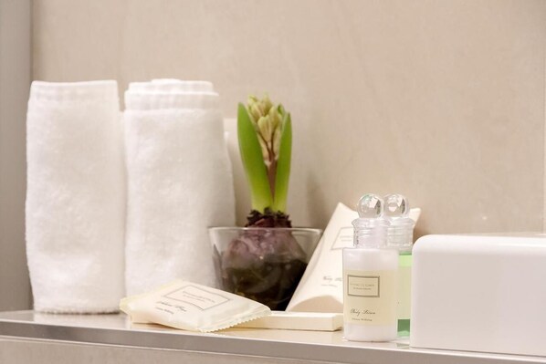 Bathroom amenities - U Solné Brány (Ceské Budejovice (Budweis))