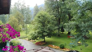 Um jardim com diversas árvores e flores, um caminho de cascalho e um banco.