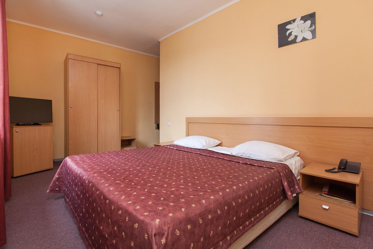 Una habitación de hotel con una cama, una mesita de noche de madera, un escritorio y un armario.