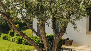 Un patio al aire libre con una mesa y sillas, rodeado de follaje y un edificio al fondo.