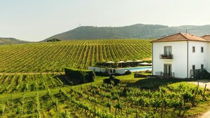 Una villa blanca con tejado de tejas, rodeada de hileras de viñedos y una piscina al fondo.