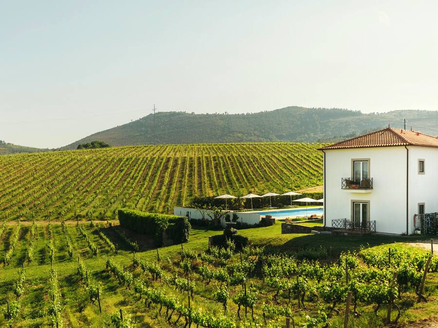 Eine weiße Villa mit Ziegeldach, umgeben von Weinreben, mit einem Swimmingpool im Hintergrund.