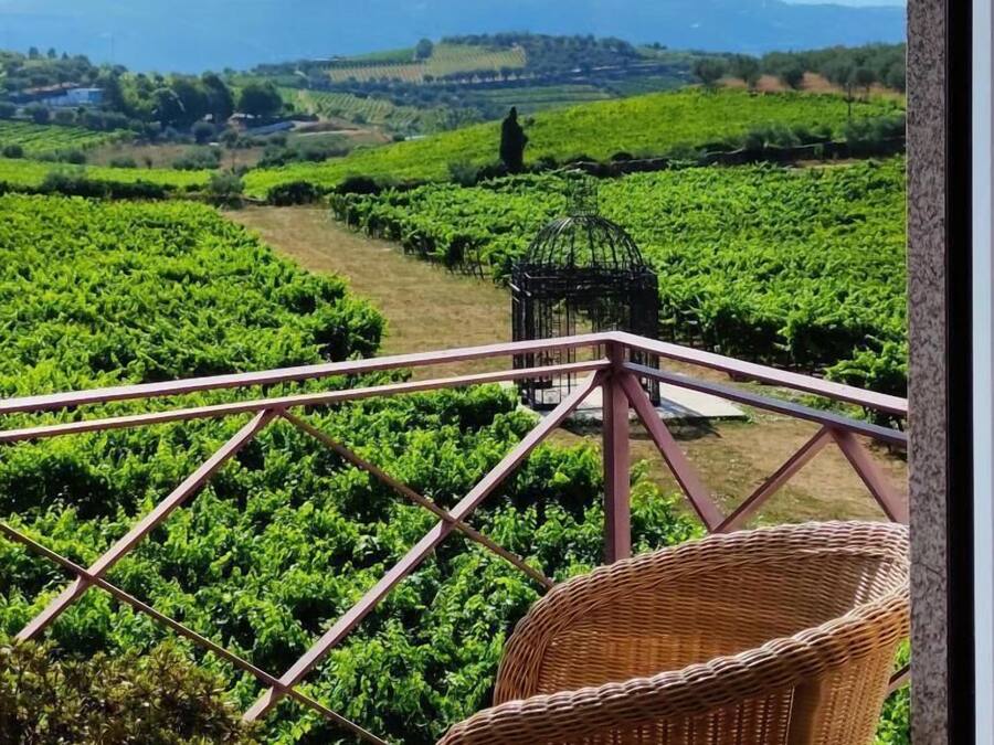 A balcony with a wicker chair, overlooking a vineyard with rows of green plants and a distant mountain range.
