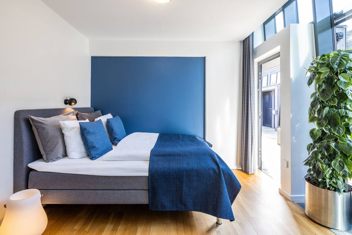 Ein modernes Schlafzimmer mit einer grauen Schlafcouch, einer blauen Akzentwand und einer großen Kübelpflanze.