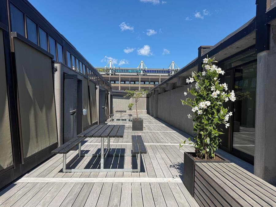 A rooftop terrace with wooden flooring, metal railings, and a potted white flowering plant.