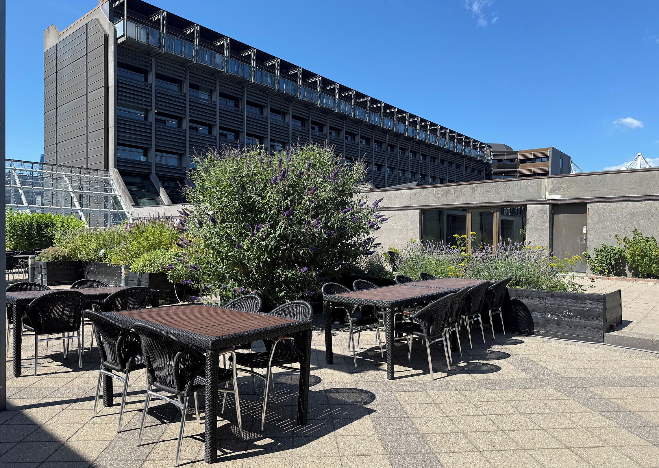 Een terras met tafels en stoelen, een groot gebouw met een modern ontwerp op de achtergrond en een helderblauwe lucht.