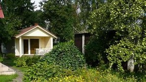 Immagine non classificata, 4 di 35, pulsante