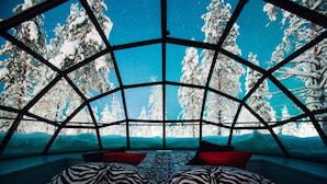 A room with a geometric ceiling structure, a bed with zebra-patterned bedding, and a view of snow-covered trees through the window. - Kakslauttanen Arctic Resort (Sodankyla)