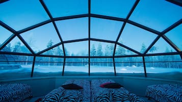 Large Glass Igloos (4 Persons, West Village) | ห้องเก็บเสียง, เปล/เตียงเด็กอ่อน, เตียงเสริม/เปล, Wi-Fi ฟรี