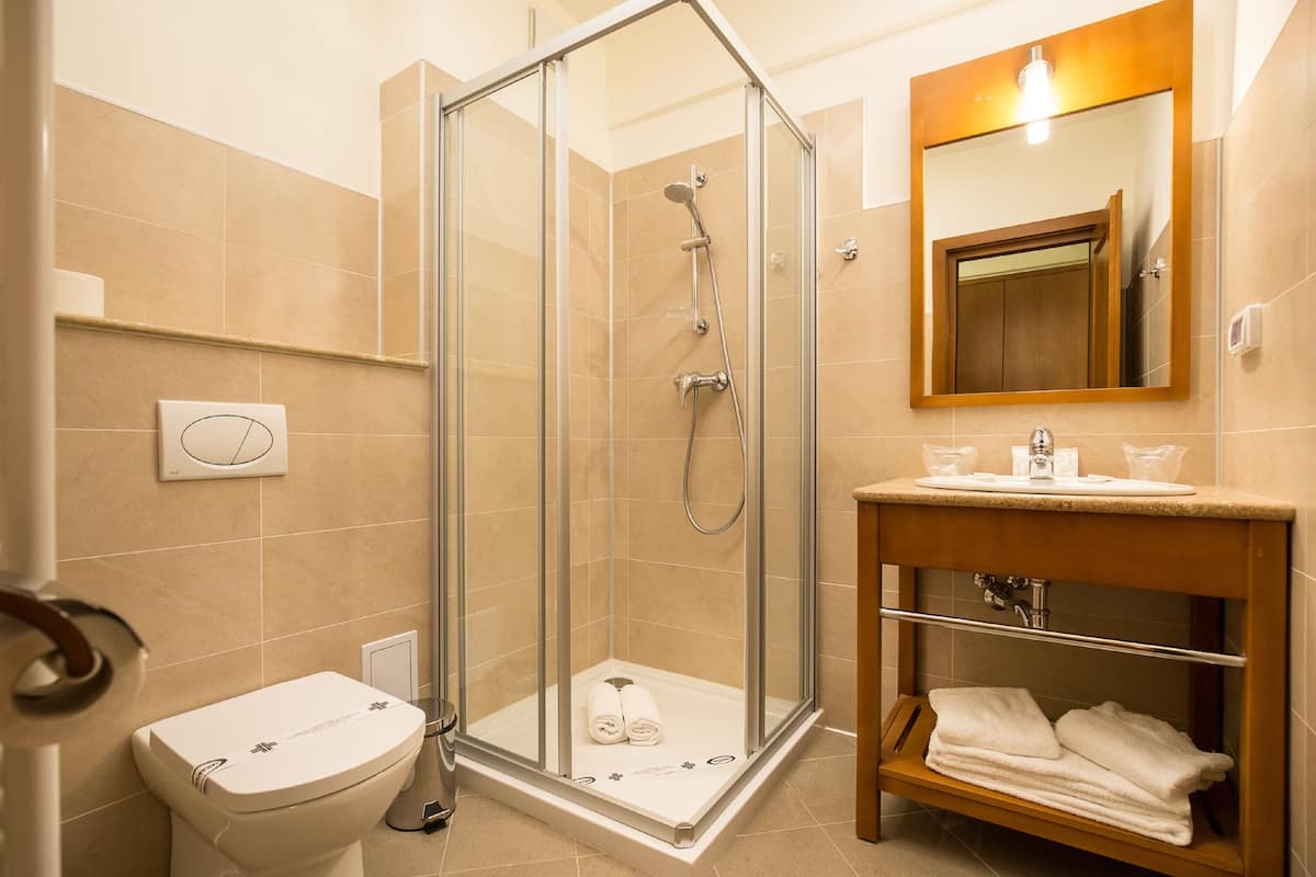 shower, free toiletries, hair dryer, towels