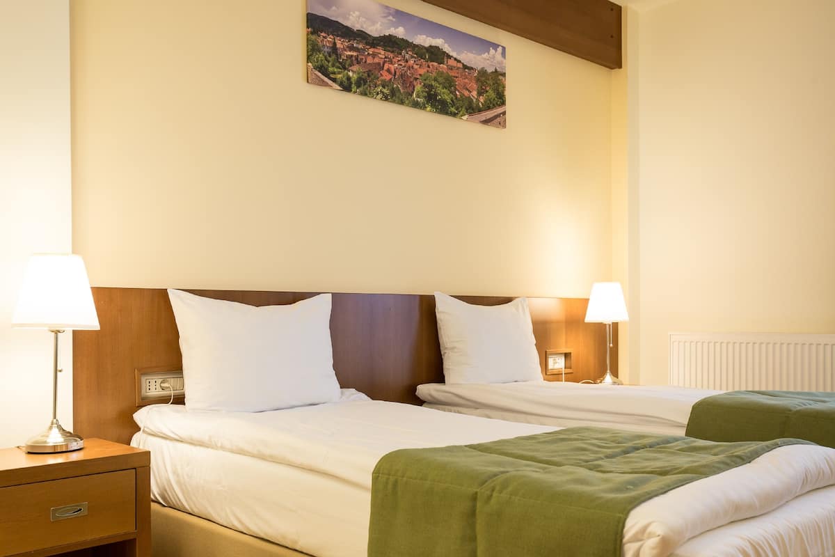 standard double room (craciun,masa festiva 24.12,dj,openbar) | minibar, in-room safe, desk, soundproofing