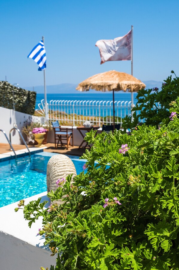 Outdoor pool, pool umbrellas, pool loungers