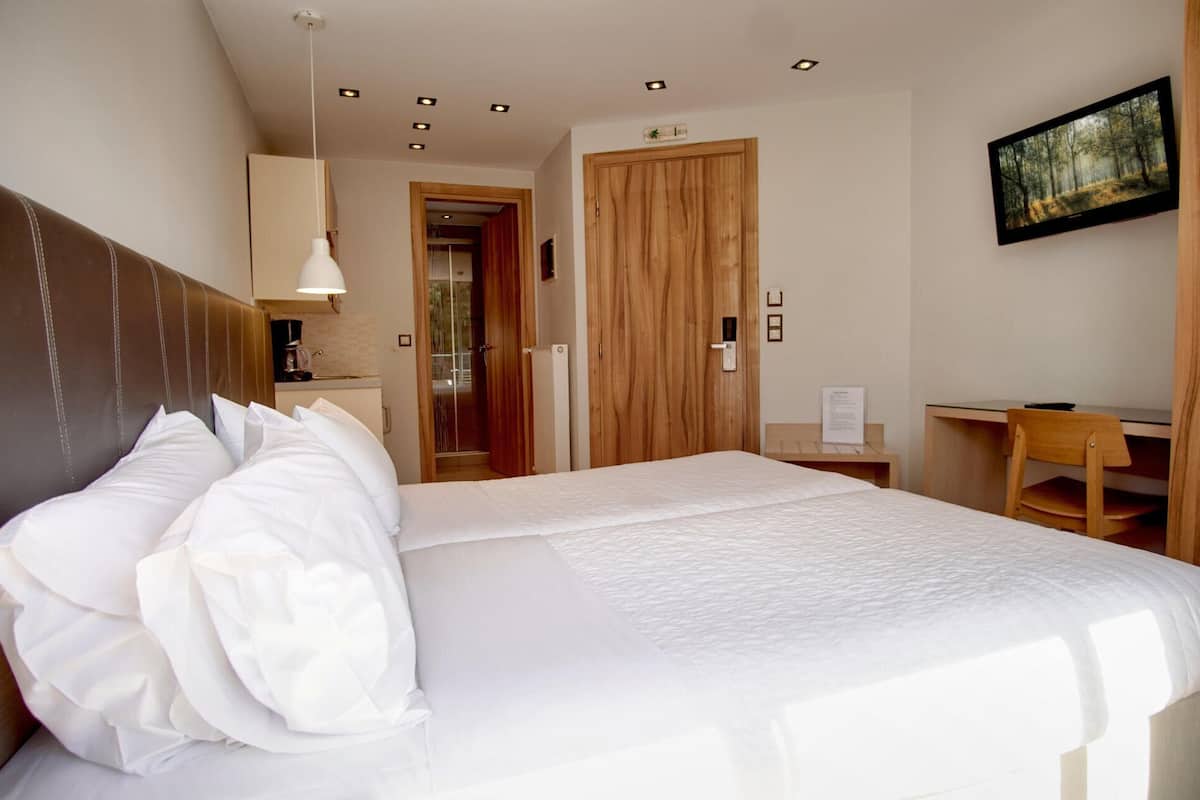 Standard Twin Room | In-room safe, desk, soundproofing, iron/ironing board
