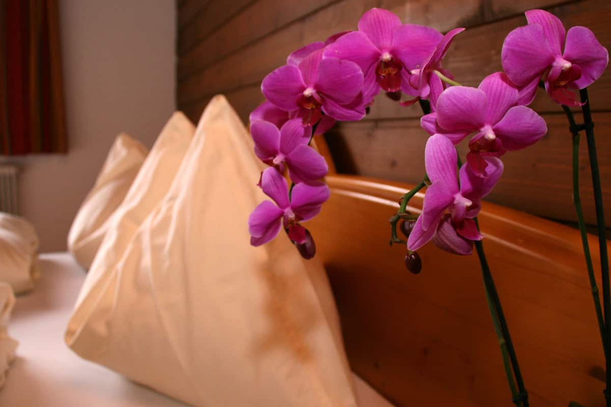 Ein Bett mit einem hölzernen Kopfteil, einem weißen Kopfkissen und einer violetten Orchidee.