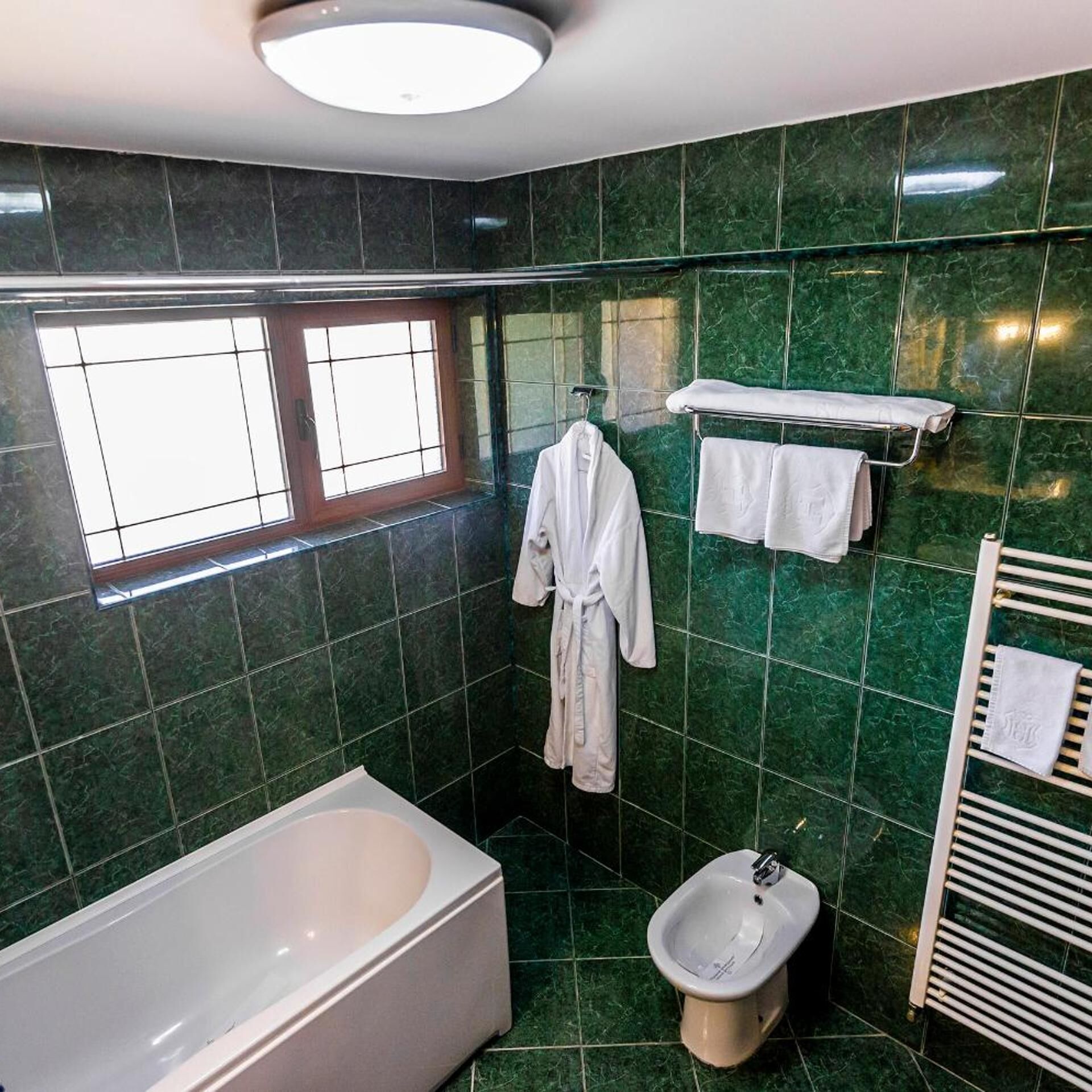 A bathroom with a bathtub, a bidet, and a window.