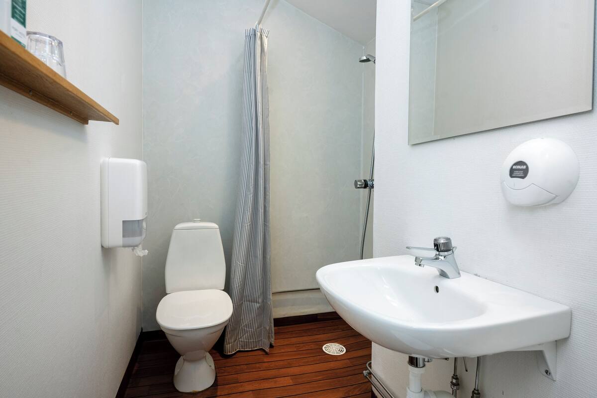 economy single room, 1 single bed (small) | bathroom | shower, hair dryer, towels, soap