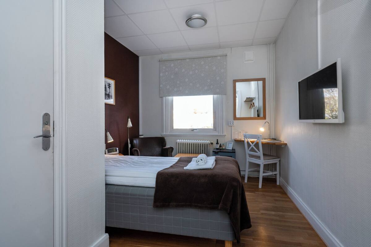 A bedroom with a bed, a desk, a chair, a radiator, a window with curtains, a mirror, and a television.