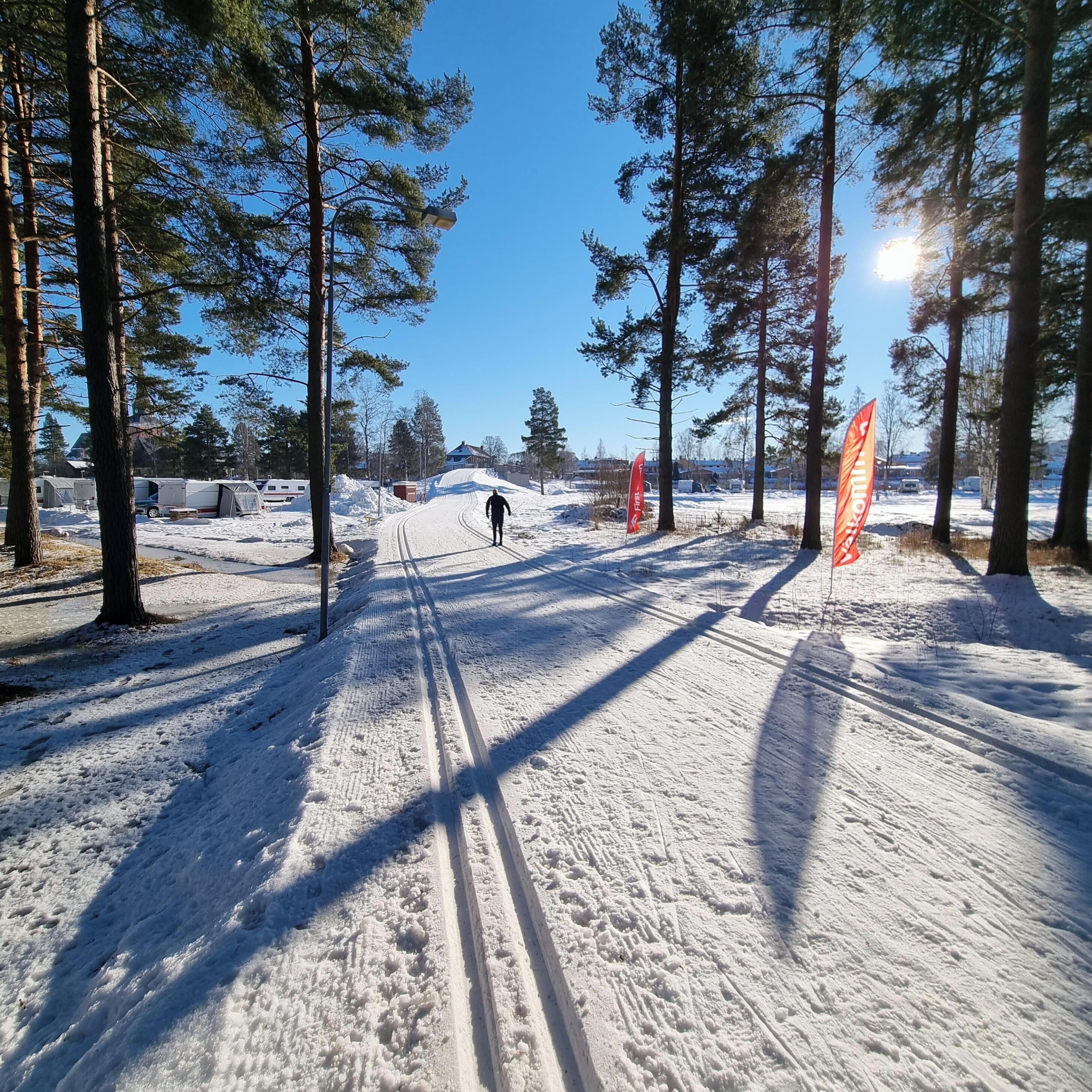 A snowy cross-country skiing trail with trees and flags.