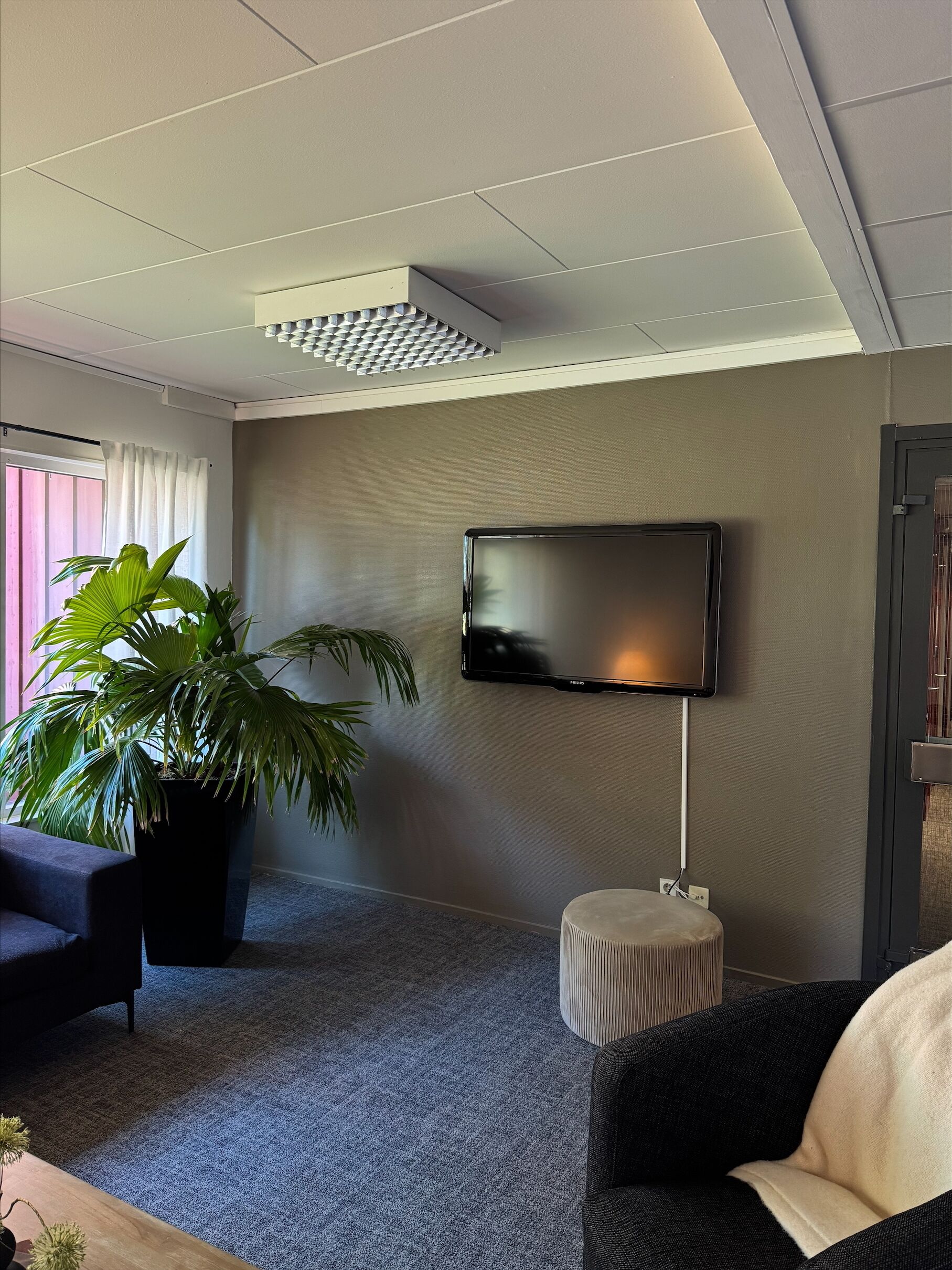 A modern hotel room with a flat-screen TV mounted on the wall, a large potted plant, a grey sofa, and a small round table.