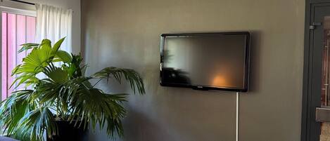 A modern hotel room with a flat-screen TV mounted on the wall, a large potted plant, a grey sofa, and a small round table.