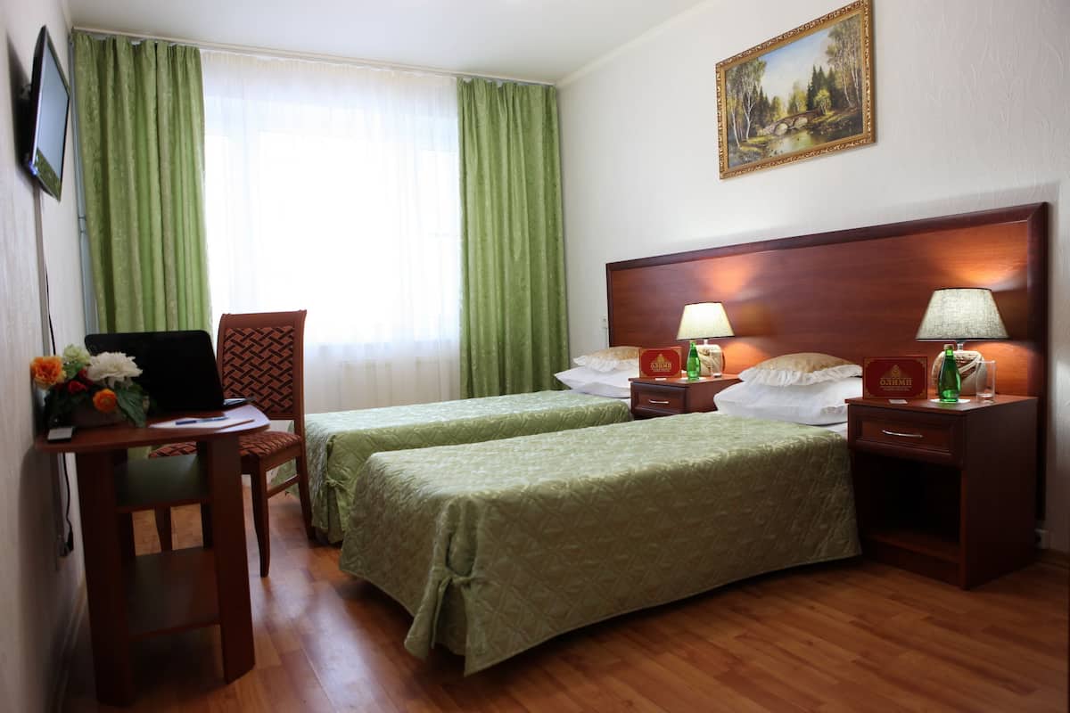Standard Double or Twin Room | Iron/ironing board, cots/infant beds, rollaway beds, free WiFi