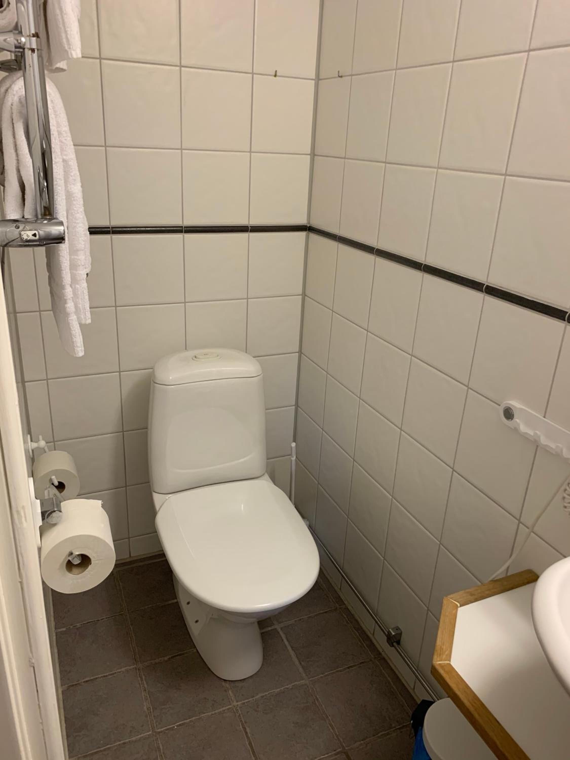 Et lille, rent badeværelse med toilet, vask og håndklædestang.