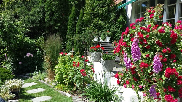 A garden with various plants and flowers, including roses and a hanging flower arrangement. - Nya Pallas Hotel (Falkenberg)