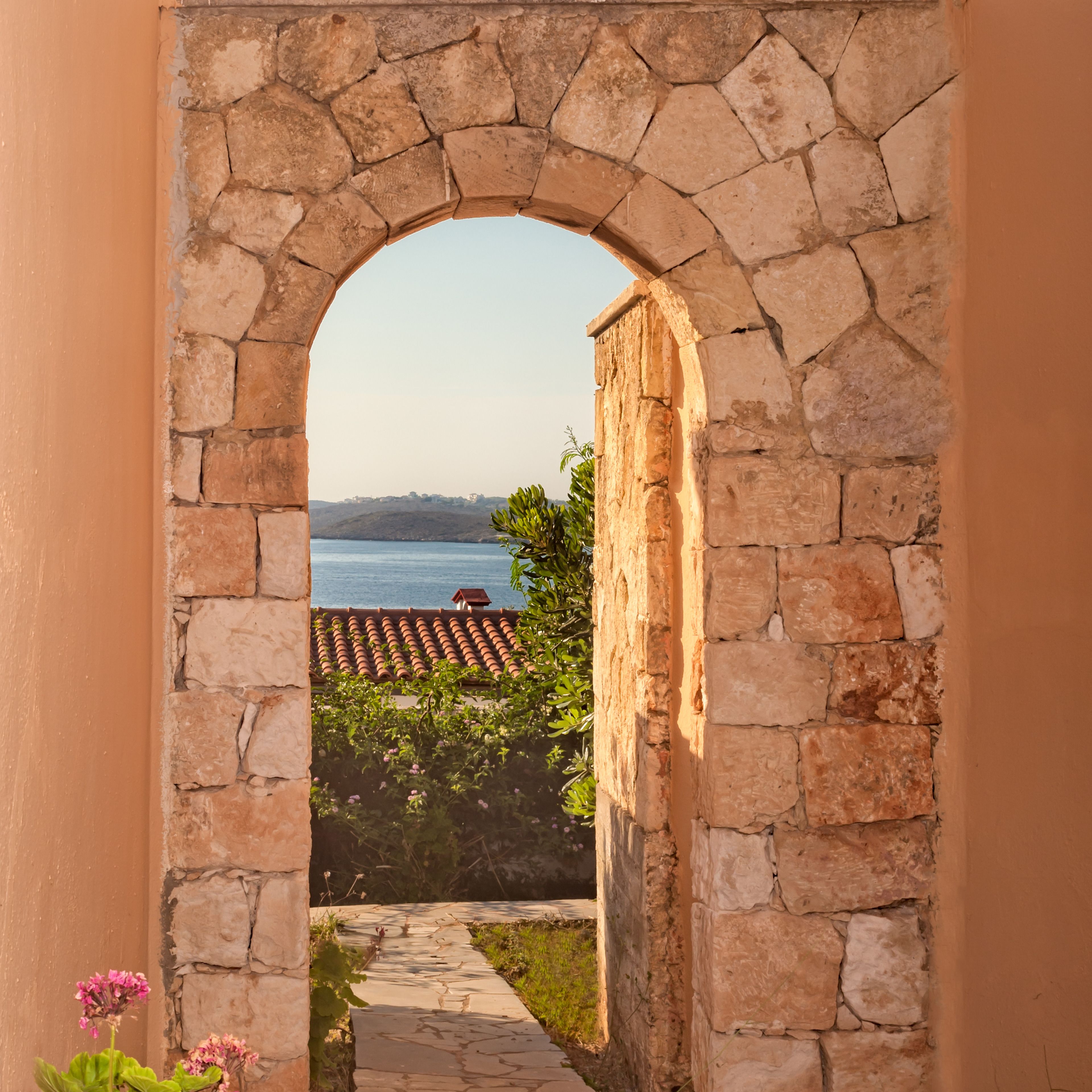 Photo - Creta Vitalis