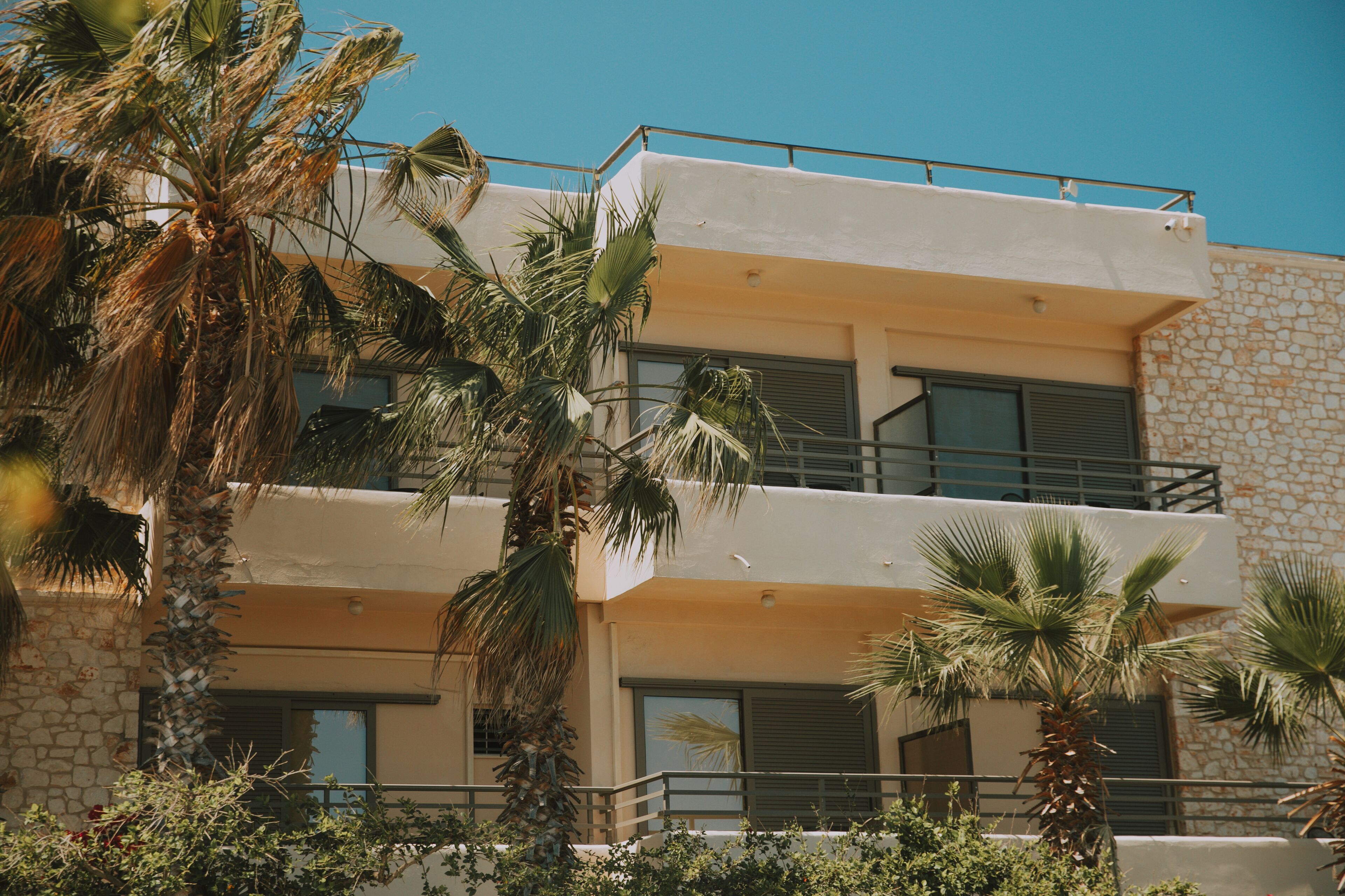 Photo - Creta Vitalis