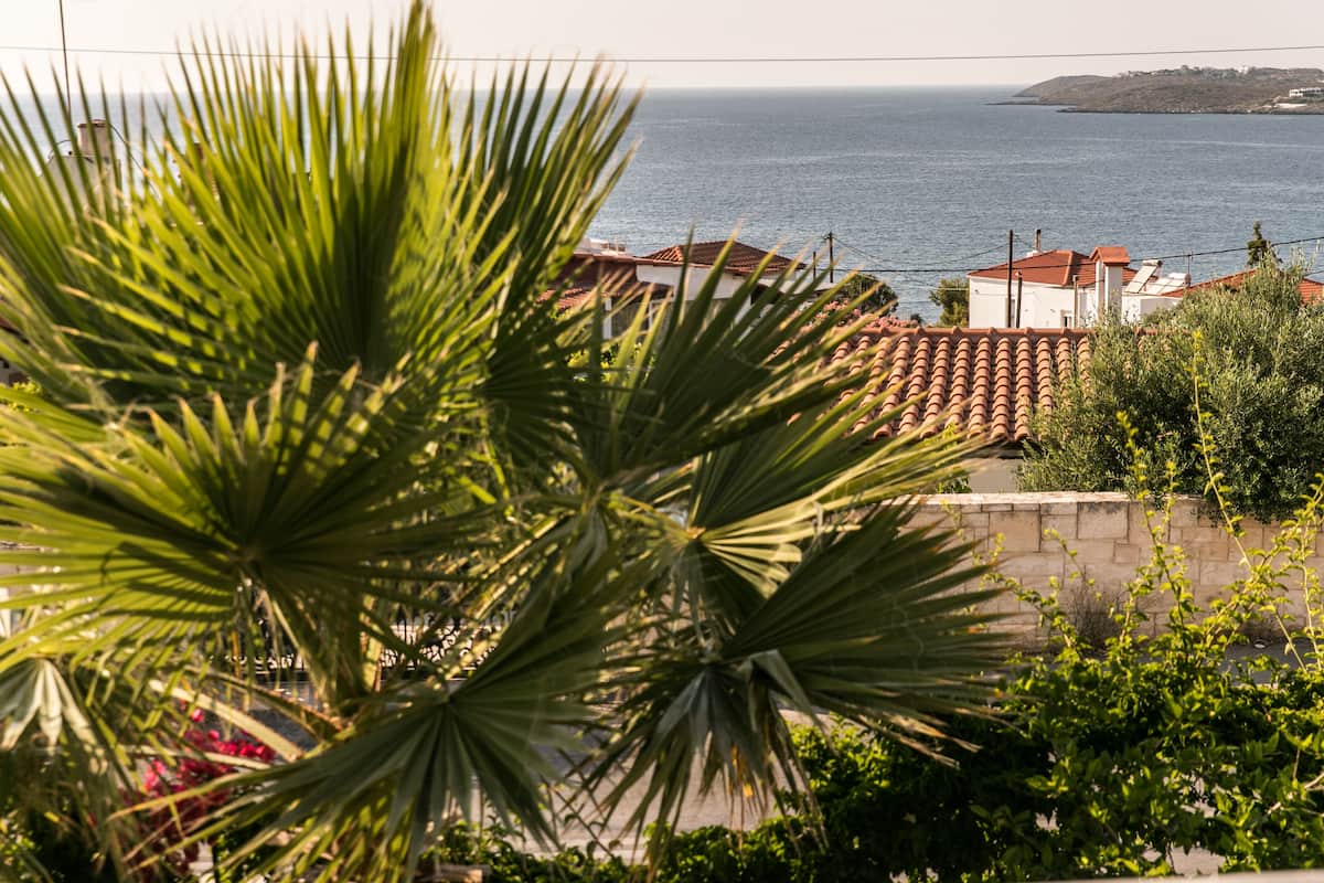 A coastal view with a house and a palm tree in the foreground.