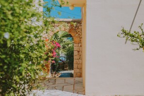 حديقة