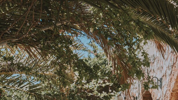 A narrow stone pathway flanked by potted plants and a stone wall, leading to an outdoor seating area with chairs and a table. - Creta Vitalis (Chania)