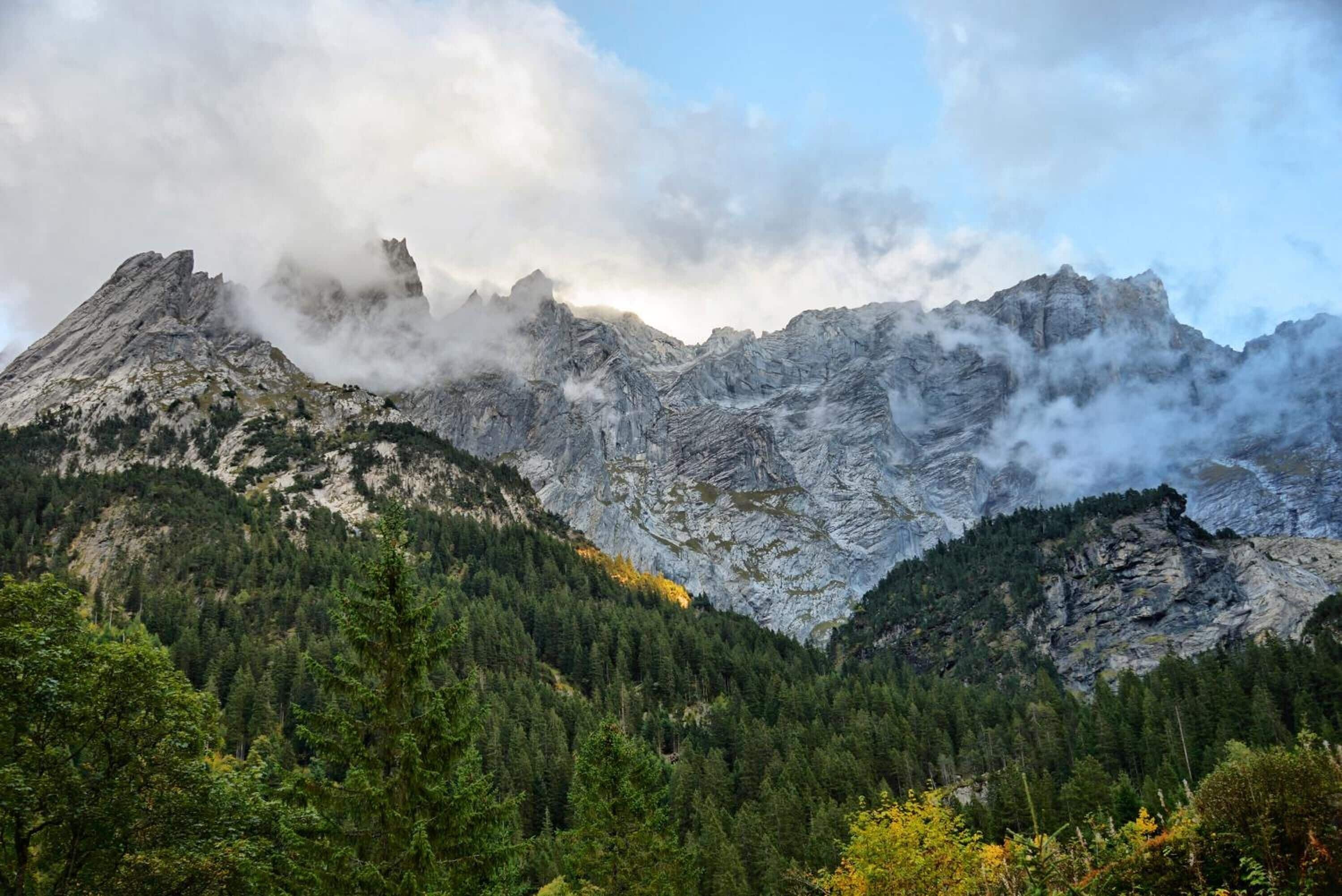 Un paisaje montañoso con denso bosque y picos rocosos.