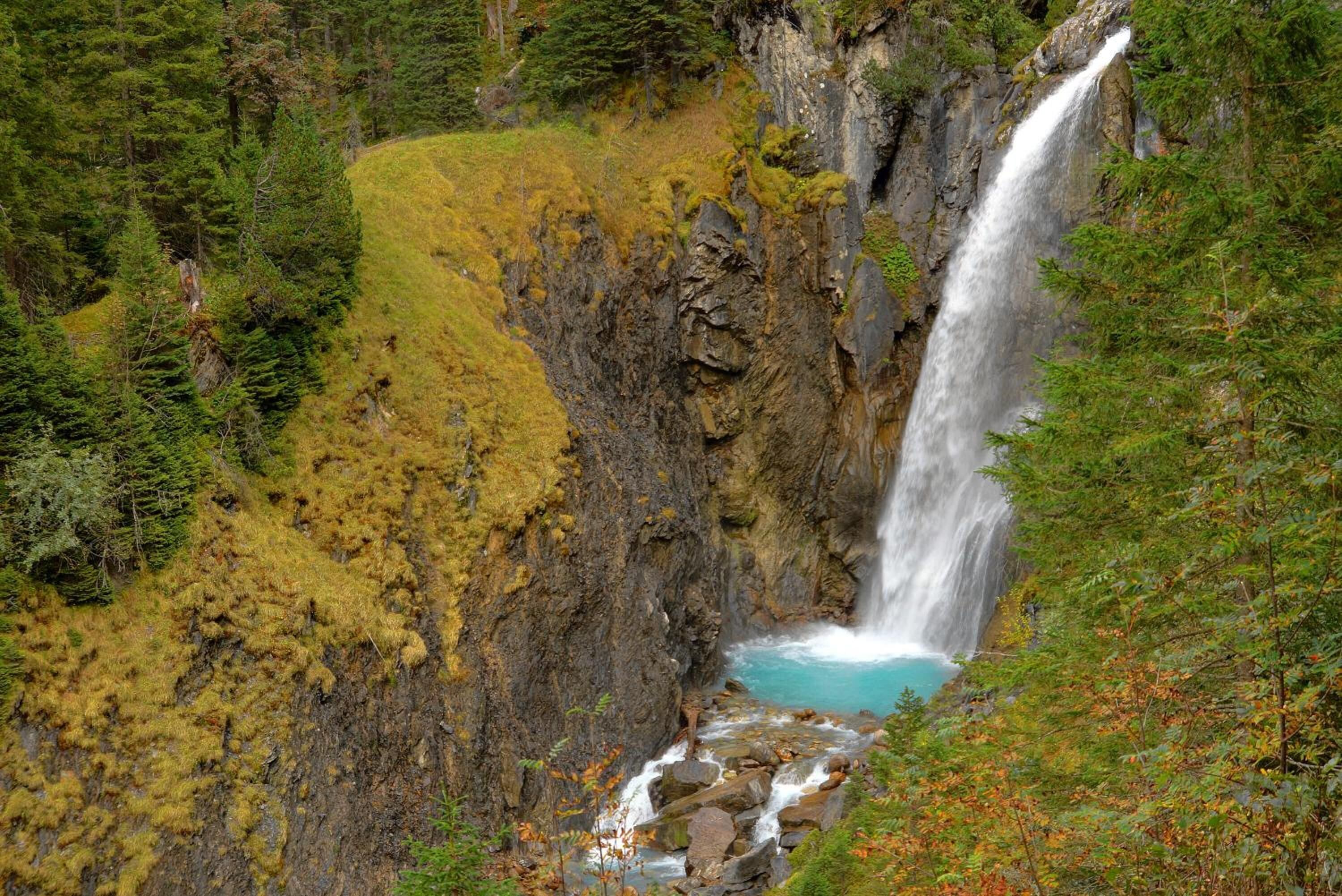 Una cascada se precipita por un acantilado rocoso, rodeada de un bosque denso.