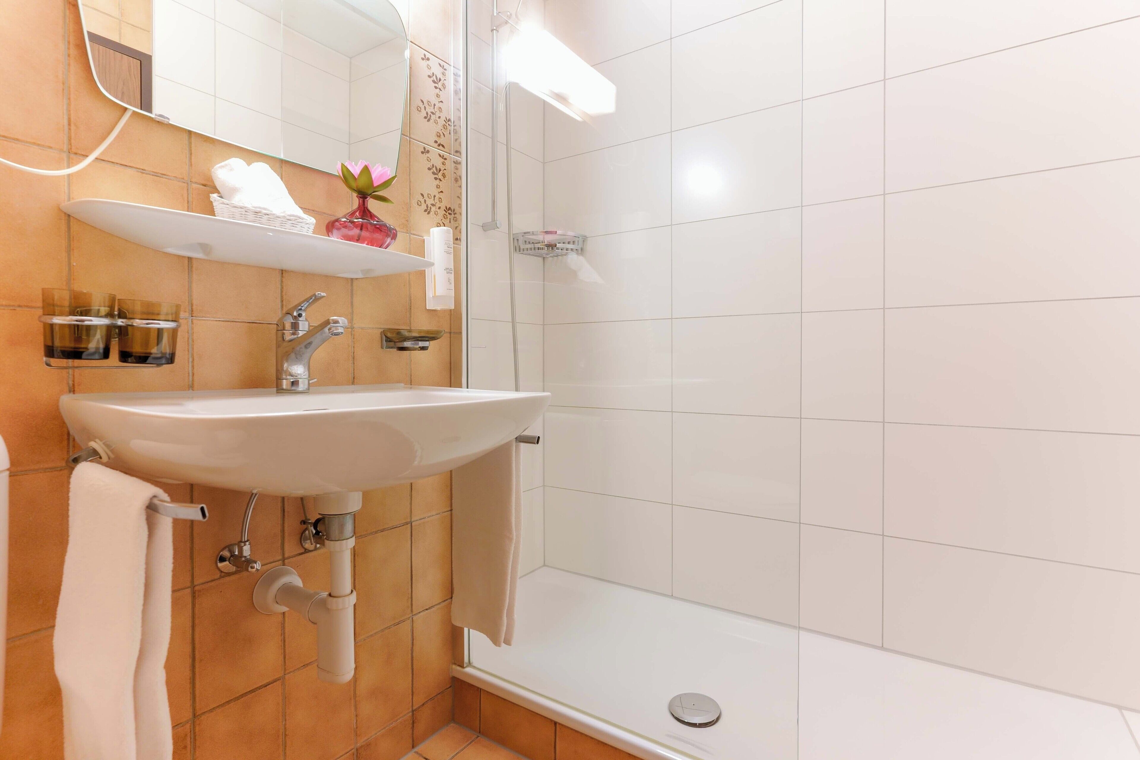 combined shower/bathtub, free toiletries, hair dryer, towels