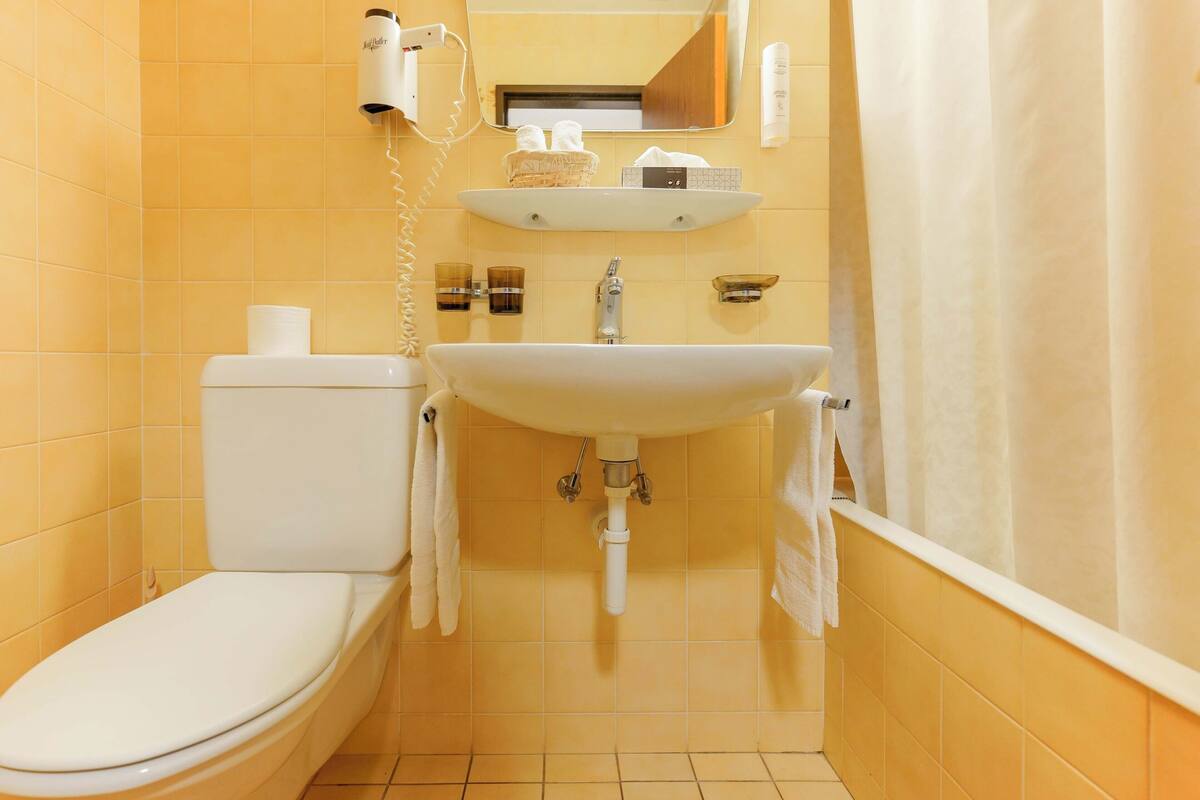 combined shower/bathtub, free toiletries, hair dryer, towels
