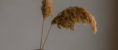 A dark-colored vase with dried pampas grass on a wooden table against a plain wall.
