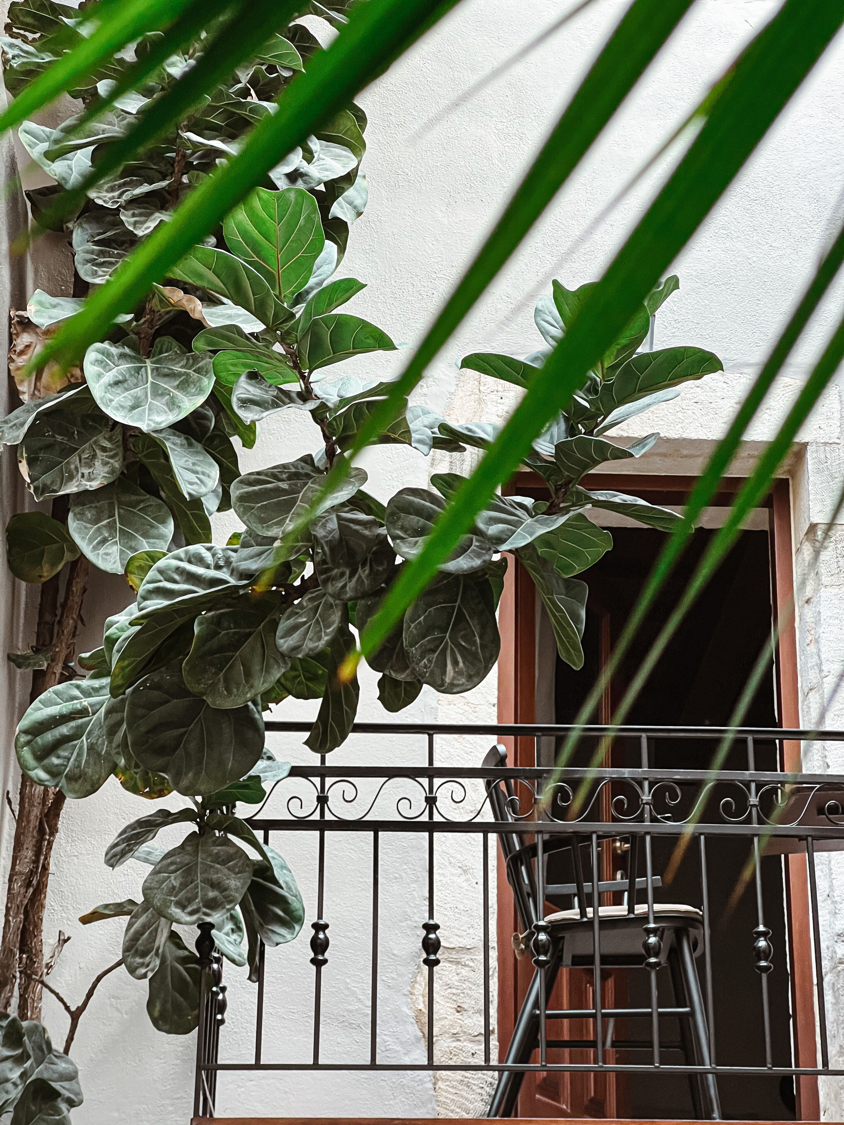 Foto - Casa Dei Delfini