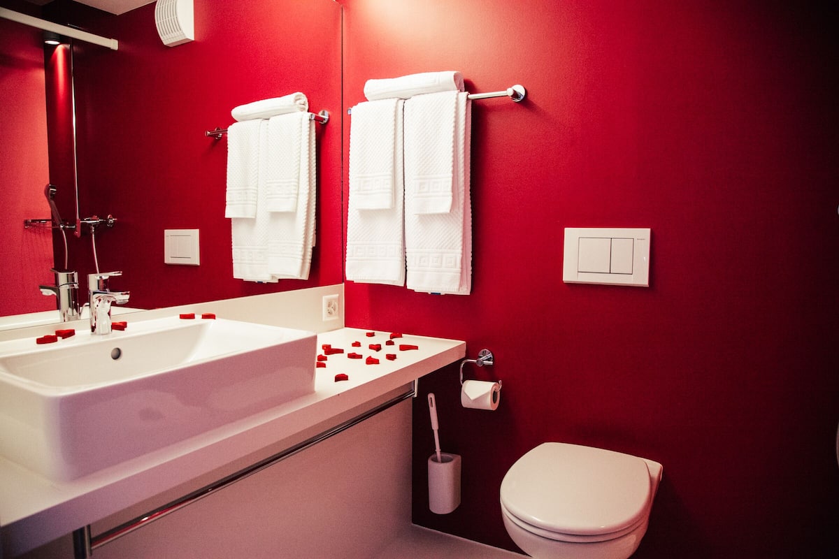 shower, free toiletries, hair dryer, slippers