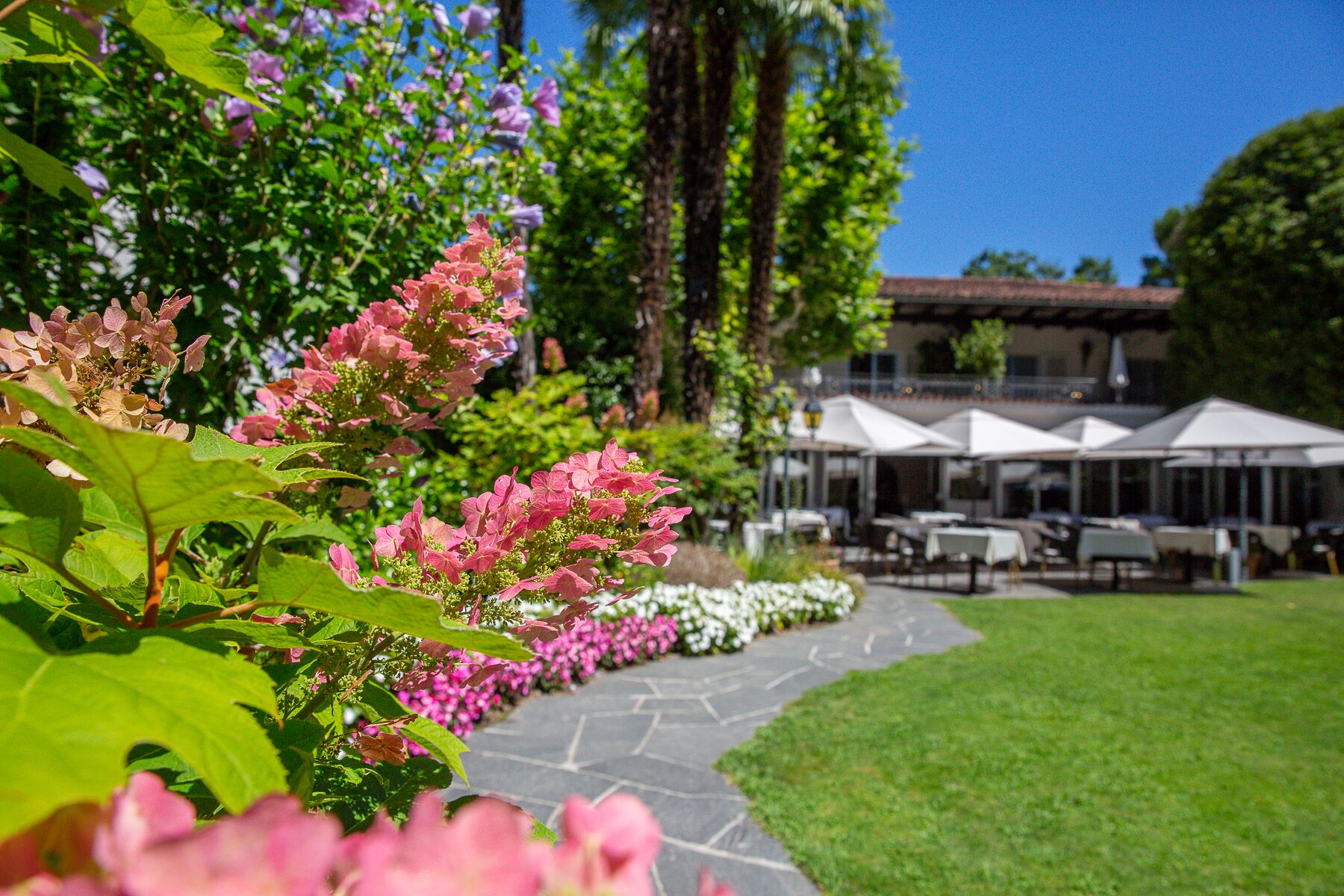 outdoor pool, pool loungers